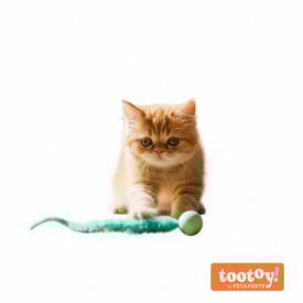 Tootoy! Kitten Bola Saltitante